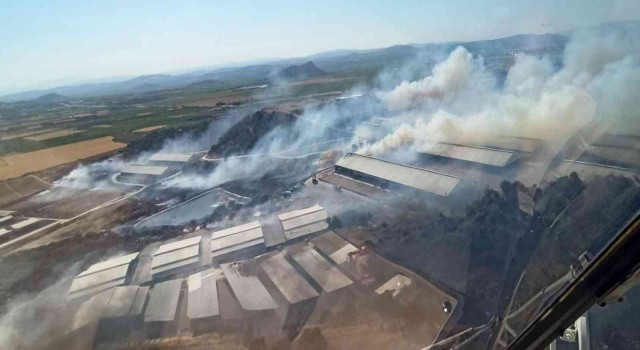Bergamada otluk alanda yangın