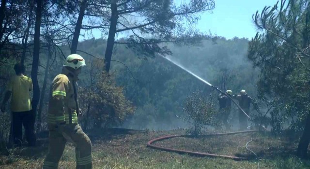 Beykoz Çavuşbaşında ormanlık alanda yangın çıktı. Olay yerine çok sayıda itfaiye ekibi sevk edildi. Yangına havadan da helikopterle müdahale ediliyor.