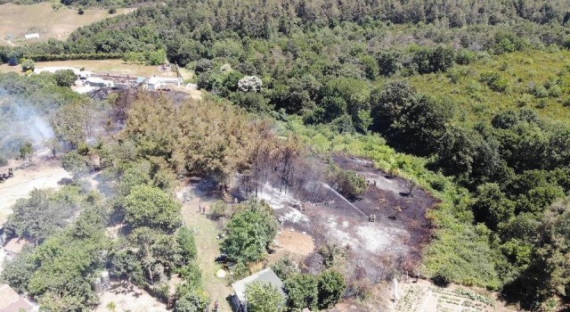 Beykozda korkutan orman yangını: Alevler evlerin bahçesine sıçradı