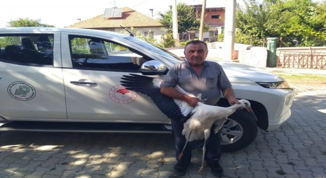 Beyşehirde yaralı bulunan leylek koruma altına alındı
