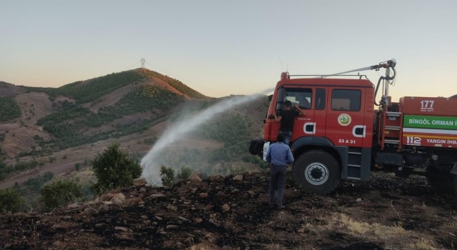 Bingölde 3 köyde çıkan orman yangınları söndürüldü