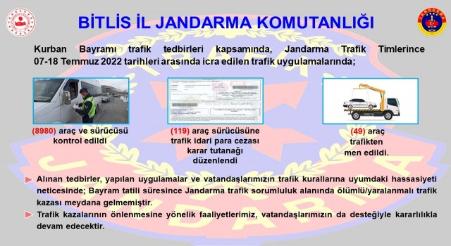 Bitliste trafik denetimleri