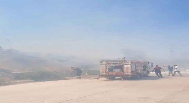 Bodrumda makilik alanda yangın