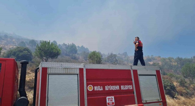Bodrumda makilik alanda yangın çıktı