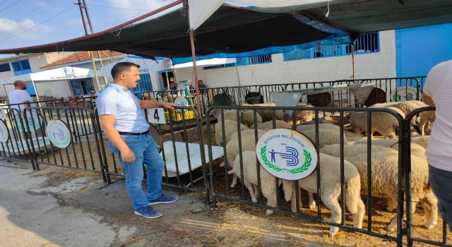 Bozüyükte kurban satış ve kesim yerlerinde denetim yapıldı