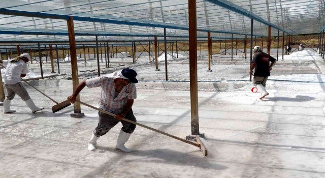 Bunaltıcı sıcaklar 3 bin yıllık Kemah tuzuna bereket getirdi