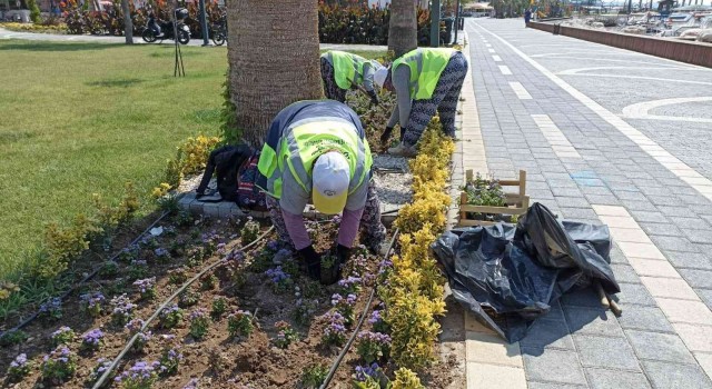 Burhaniyede 60 bin çiçek dikildi