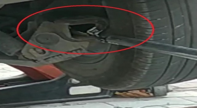 Bursada aracın aksına giren oluklu kertenkele operasyonla çıkarıldı
