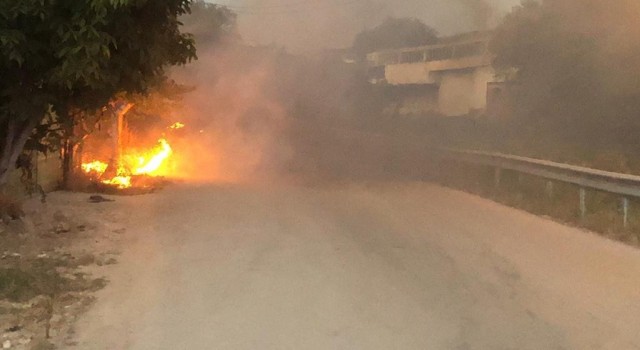 Bursada çalılık alanda çıkan yangın paniğe sebep oldu