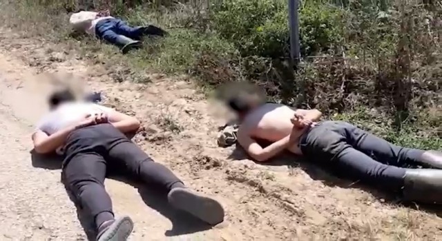 Bursada ormana uyuşturucu diktiler, suç üstü yaptılar