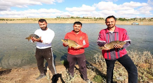 Büyük balığı tuttular, ödülü kaptılar