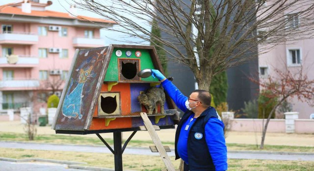 Büyükşehir can dostlar için 5 bin 268 kilogram mama üretti