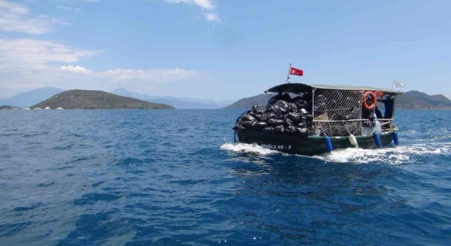 Büyükşehir günlük 34 Bin kilogram atık topladı