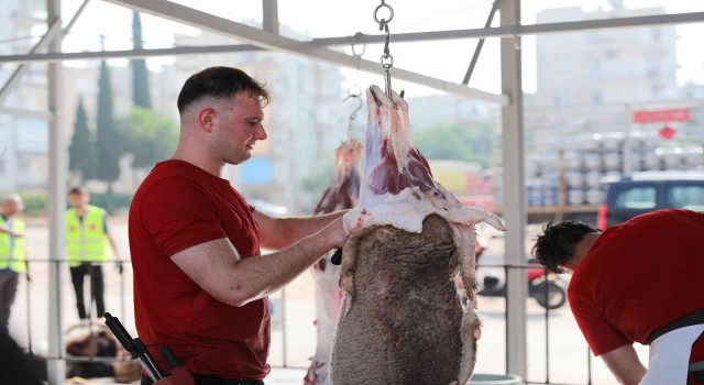 Büyükşehirden 3 noktada kurban kesim hizmeti
