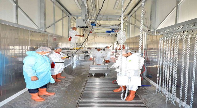 Büyükşehirin Kurban Bayramı hazırlıkları sürüyor