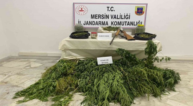 Çadıra uyuşturucu operasyonu