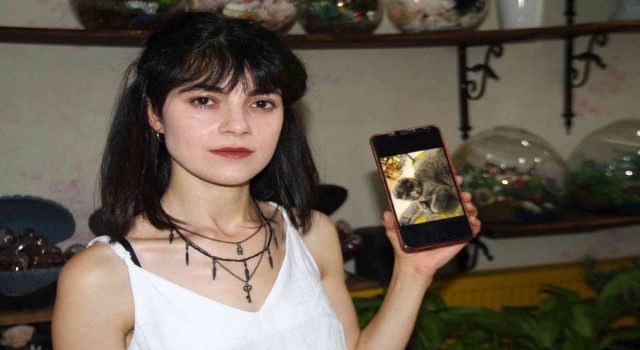 Çalınan kedisi için seferber oldu, geri getirirlerse şikayetçi olmayacak