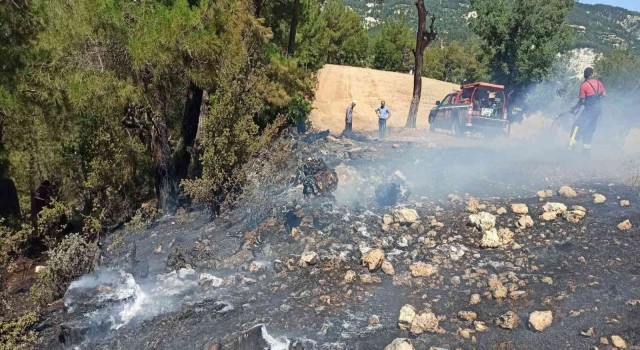 Çamelinde çıkan orman yangını büyümeden söndürüldü