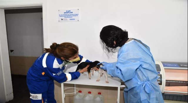 Can Dostlar sosyal sorumluluk projesi