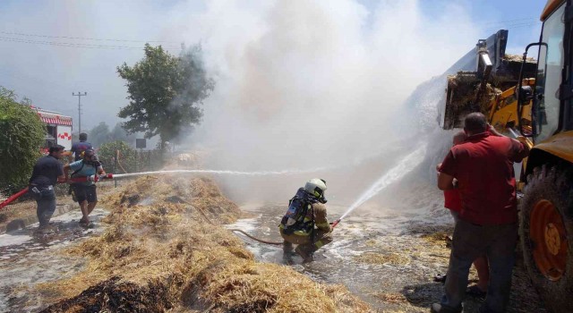 Çanakkalede 20 ton saman küle döndü