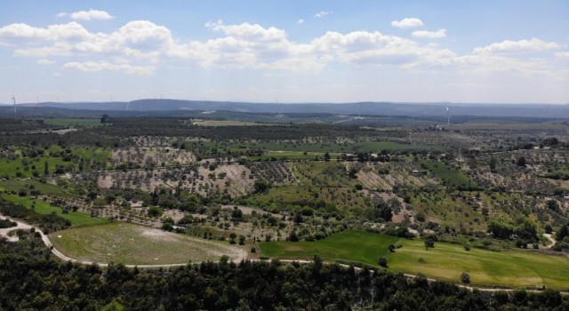 Çanakkalede ormanlık alanlara girmek yasaklandı