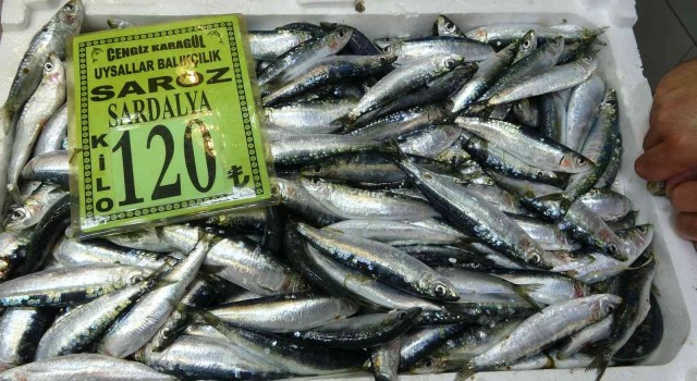 Çanakkalede sardalyanın kilosu 120 lira oldu