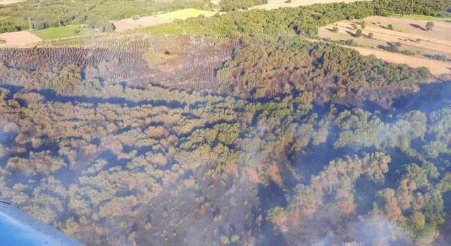 Çanakkaledeki orman yangını kontrol altına alındı