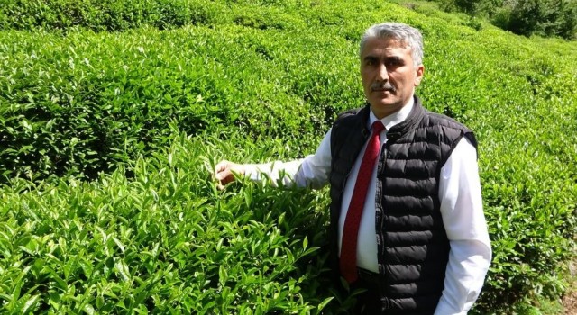 ÇAYÜDAD Ulusal Çay Konseyinden ayrılma kararı aldı