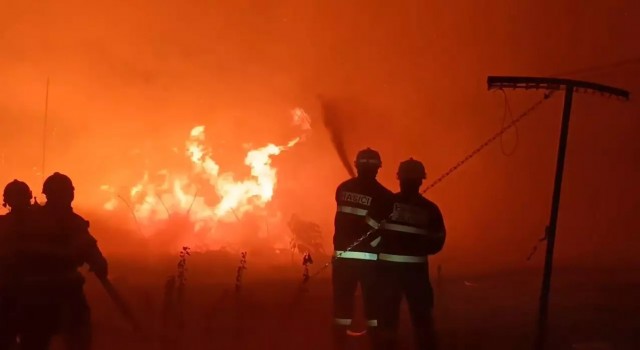Çekyada milli parktaki yangın 3 gündür söndürülemiyor