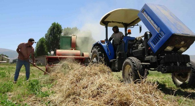 Çiftçilerin Muş Ovasında 38 derece sıcakta zorlu patoz mesaisi