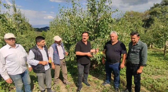 Çiftçiyi dolu vurdu, 20 milyon TL zarar