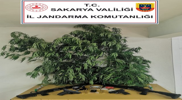 Çiftliğe uyuşturucu baskını: 2 gözaltı
