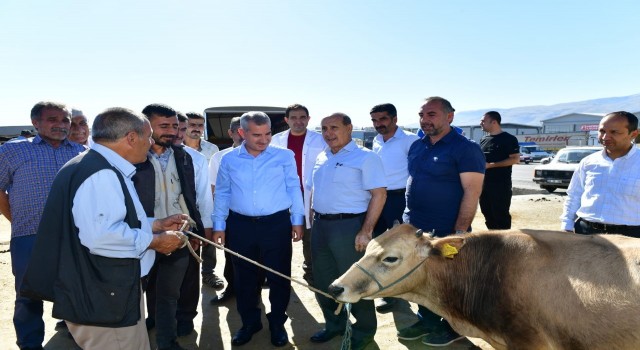 Çınar, canlı hayvan pazarını ziyaret edip, üreticilerle bir araya geldi