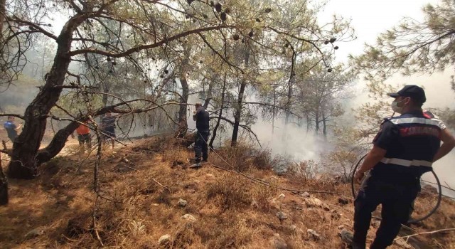 Datçadaki orman yangınına kolluk kuvvetleri de müdahale etti