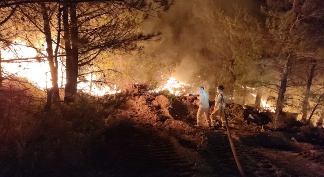 Datçadaki orman yangınında çalışmalar gece de devam ediyor