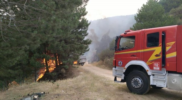 Denizlide orman yangını büyümeden söndürüldü