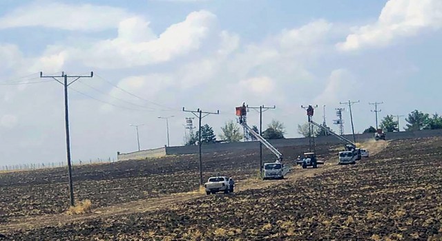 Dicle Elektrikten çiftçiye tarımsal sulama için elektrik desteği