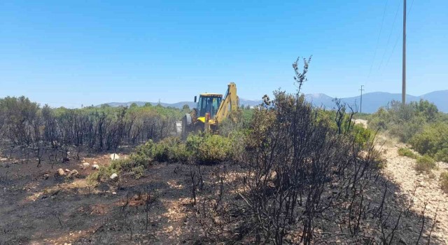 Didimde orman yangını faciasının önüne belediye ekipleri geçti