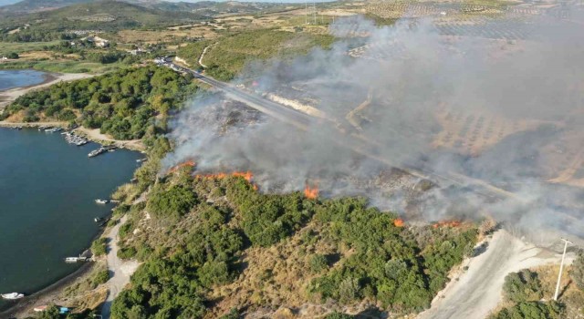 Didimde orman yangını korkuttu