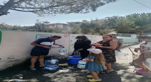 Dikilililer su kuyruğunda