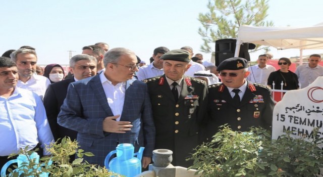 Diyarbakırda 15 Temmuz şehidi kabri başında anıldı