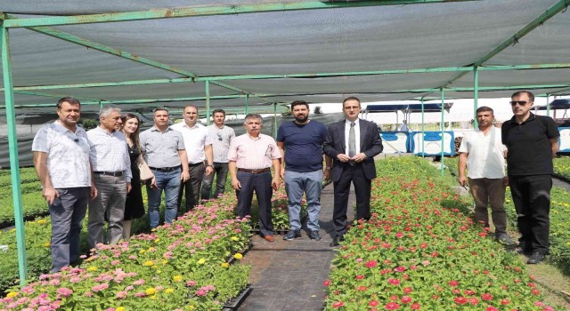 Diyarbakırda 20 bin çam fidanı ve 500 bin mevsimlik çiçek dağıtıldı