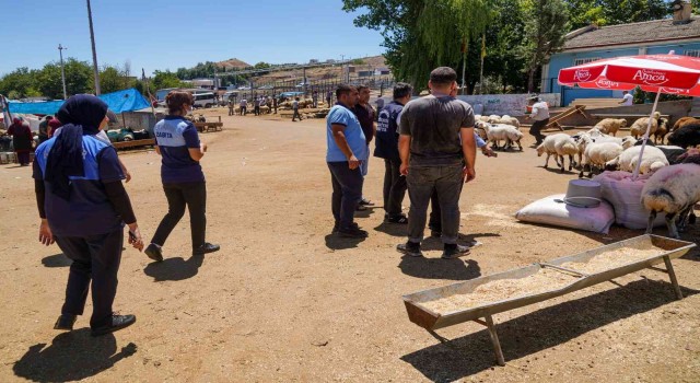 Diyarbakırda kurban kesim ve satış yerlerine sıkı denetim