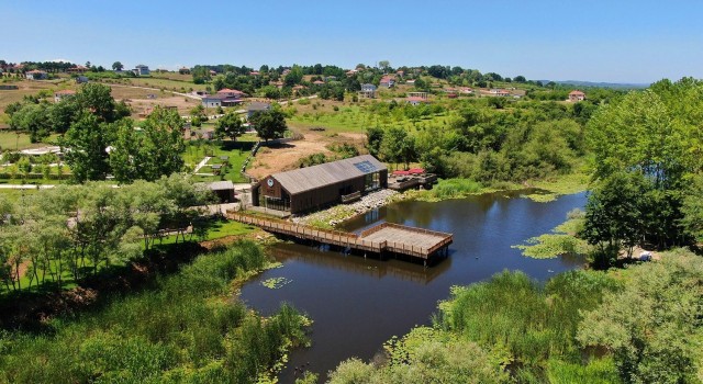 Doğa harikası Acarlar Longozu yeni yüzüyle ziyaretçilerine kapılarını açtı