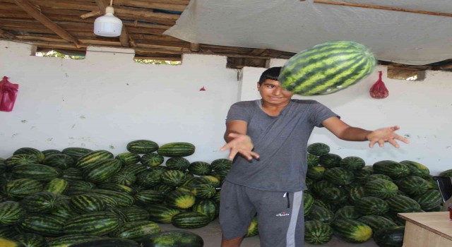 Doğunun Çukurovasından çevre illere sebze ve meyve satışı