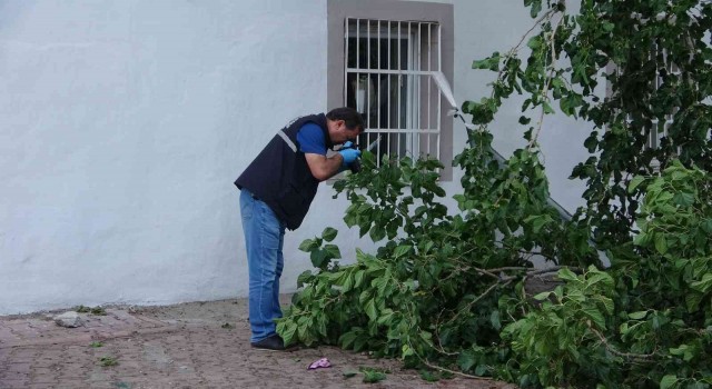 Dut toplamak için çıktığı ağaçtan düşen yaşlı adam yaşamını yitirdi