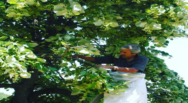 Düzce, ülke ekonomisine katkı verdi