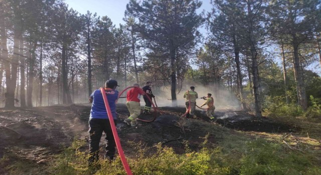 Edirnede orman yangını: Havadan ve karadan müdahale ediliyor