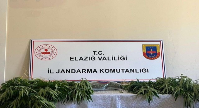 Elazığda jandarmadan eş zamanlı uyuşturucu operasyonu