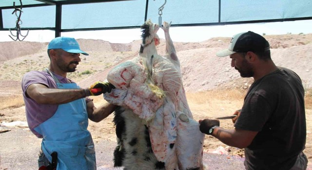Elazığda kurban kesimi ikinci gününde de devam etti